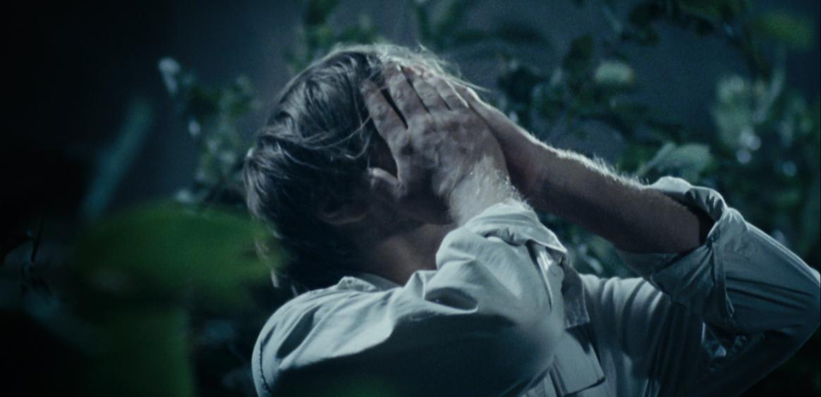 © Artémis/ Paradise Films/Liaison Cinéma