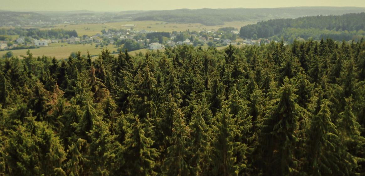 © Samsa/RTL/Artémis