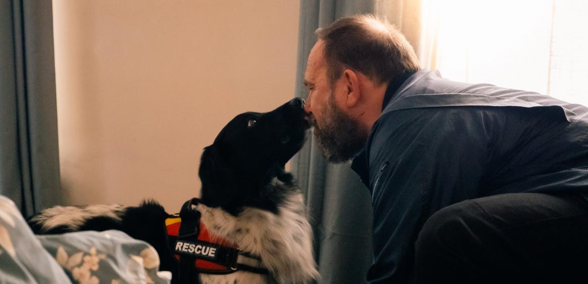 Les Tortues - Artemis Productions - Cristal Films - © Cédric Bourgeois