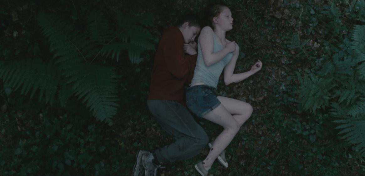 © Element Pictures/Artémis/Cinéma Defacto