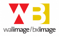 Logo Wallonie et Région Bruxelles Capitale