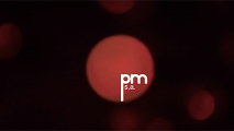Logo PM SA