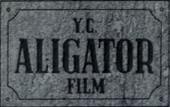 Logo YC Aligator Film