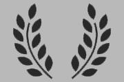 Default festival logo