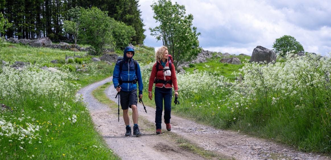 © Eveya Productions - Page Films - Apollo Films Distribution - France 3 Cinéma - Auvergne-Rhône-Alpes Cinéma- Artémis Productions