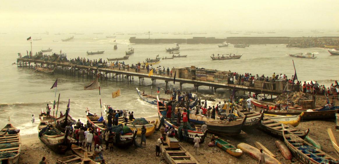 © Roche Productions