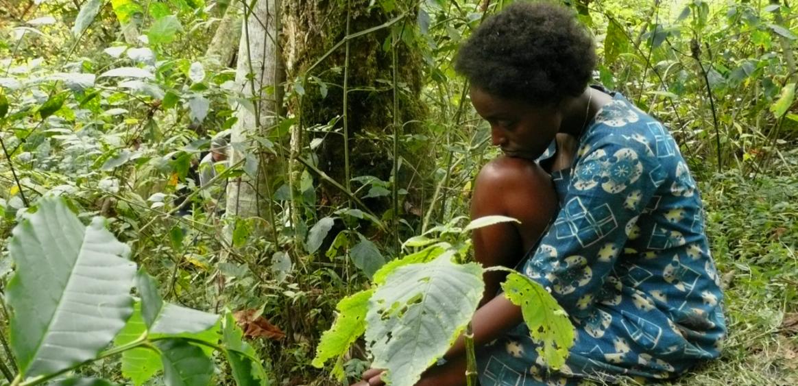 © Pierrick Le Pochat