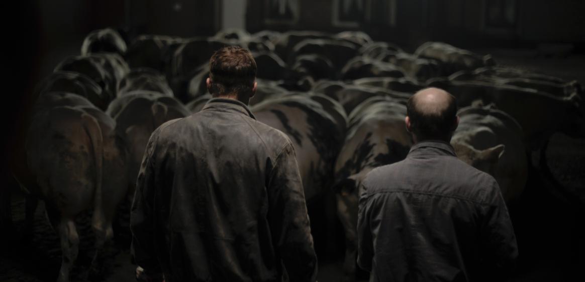 © Nicolas Karakatsanis