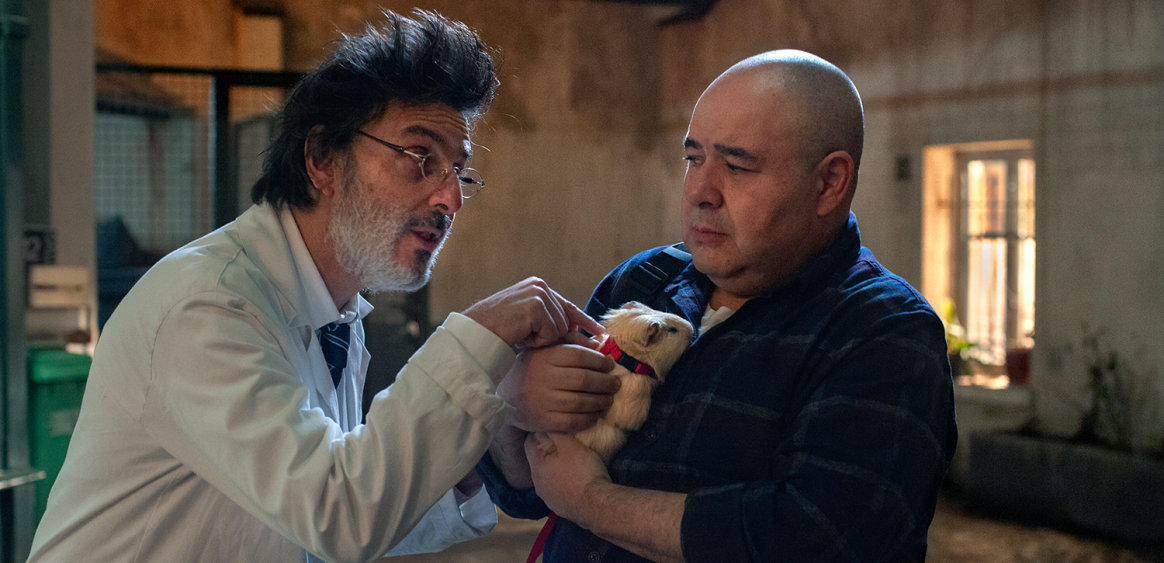 8 Rue de l'Humanité