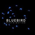 Logo Blue Bird Distribution